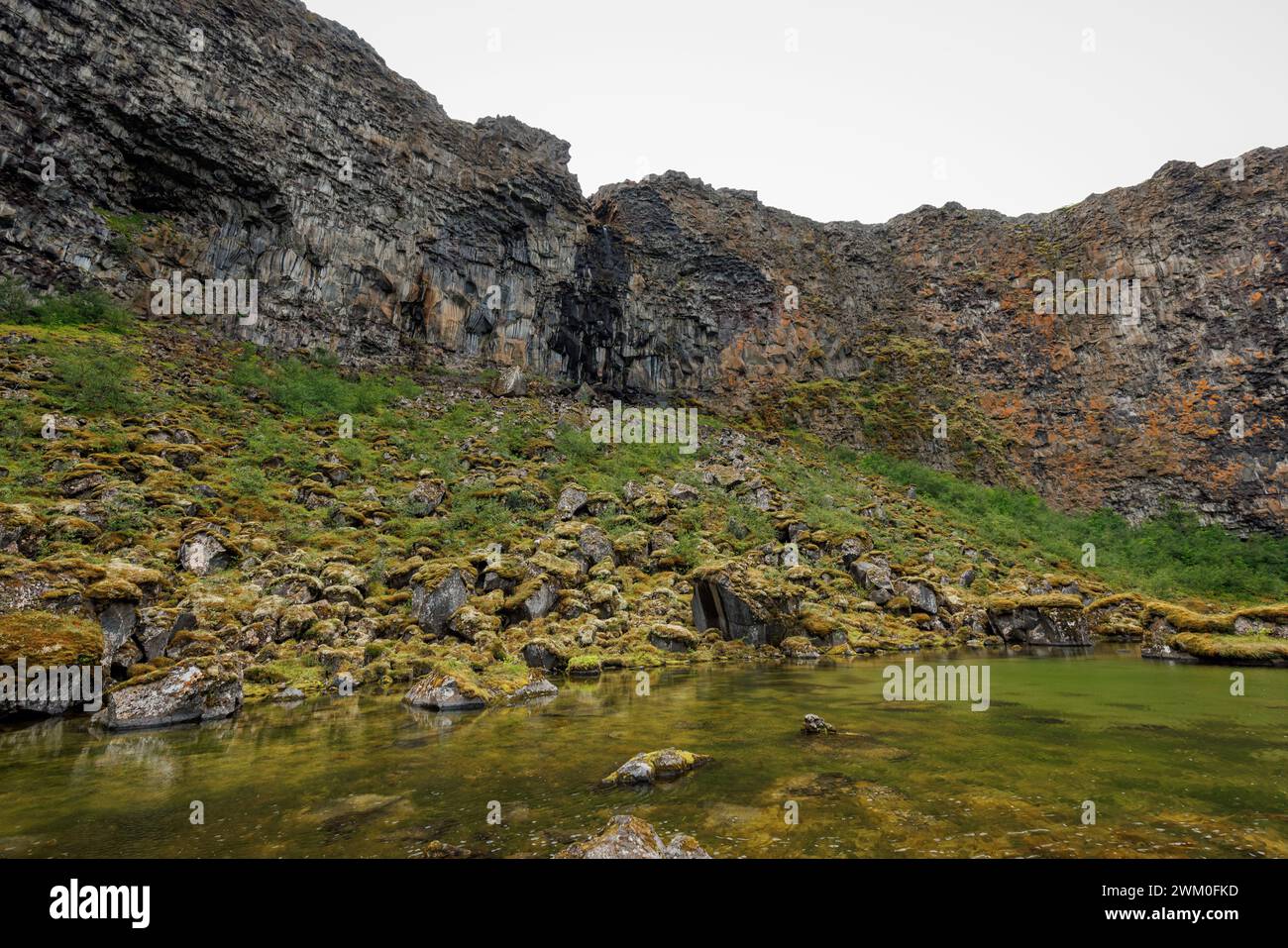 Canyon Asbyrgi, o il riparo degli dei, un luogo magico e attrazione naturale in Islanda. Tour delle meraviglie naturali. Foto Stock