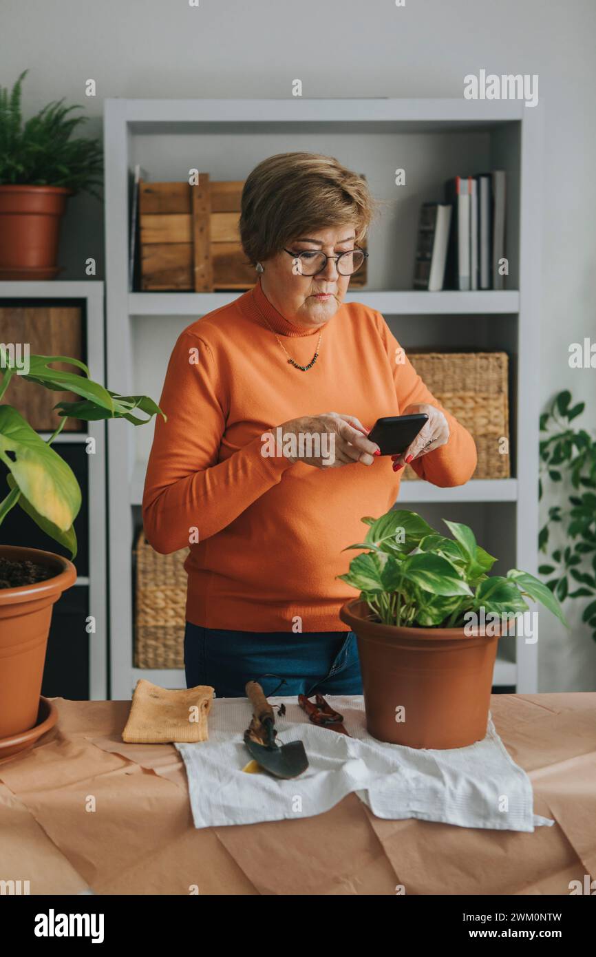 Donna anziana che fa clic sulla foto dell'impianto Pothos tramite smartphone a casa Foto Stock