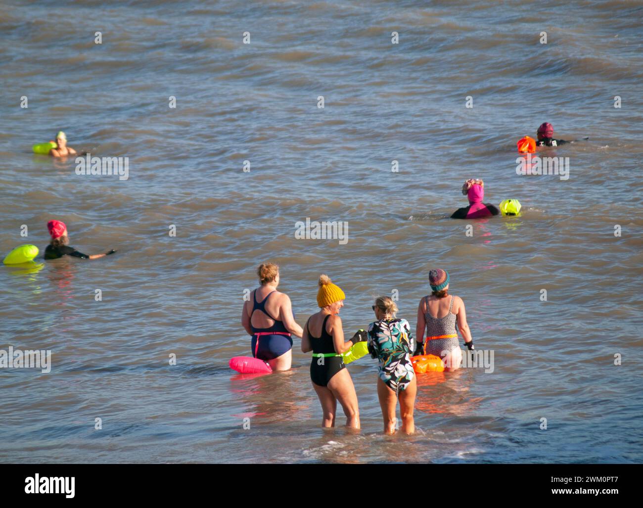 Nuotatori invernali a Eastbourne Foto Stock