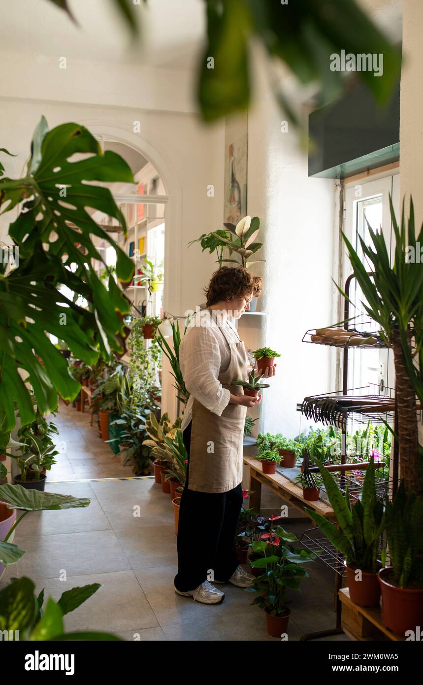 Botanico che si prende cura delle succulente presso il negozio di piante Foto Stock