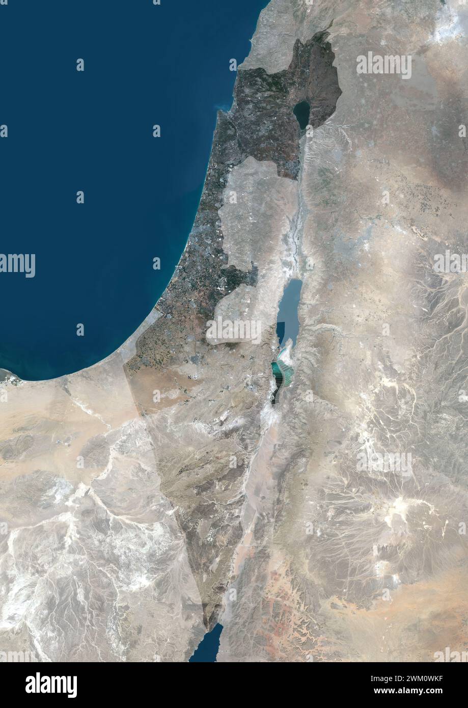 Immagine satellitare a colori di Israele, con maschera. Foto Stock