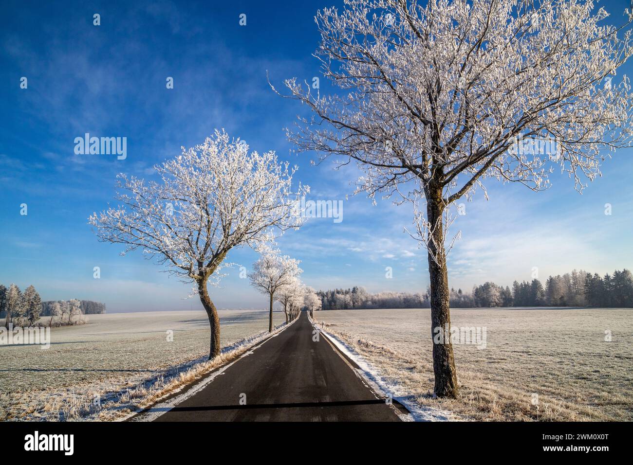 Strada di campagna diritta in inverno Foto Stock