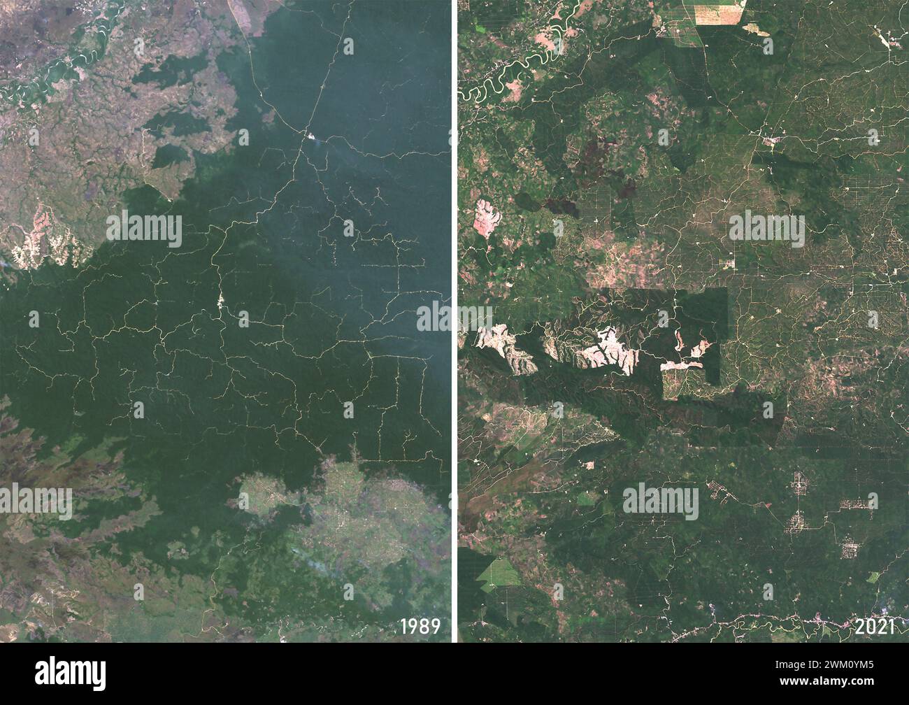 Immagine satellitare a colori della piantagione di palme da olio nel nord di Sumatra nel 1989 e nel 2021. Foto Stock
