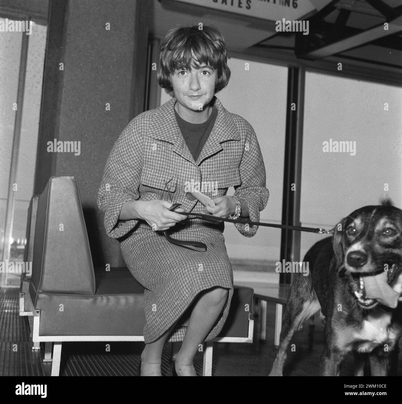 3823943 Francesca Sagan; (add.info.: Roma. circa 1960. Scrittrice francese Francesca Sagan che tiene un cane al guinzaglio / Roma, 1960 circa. La scrittrice Francesca Sagan con un cane al guinzaglio - Archivio storico Marcello Mencarini); © Marcello Mencarini. Tutti i diritti riservati 2024. Foto Stock