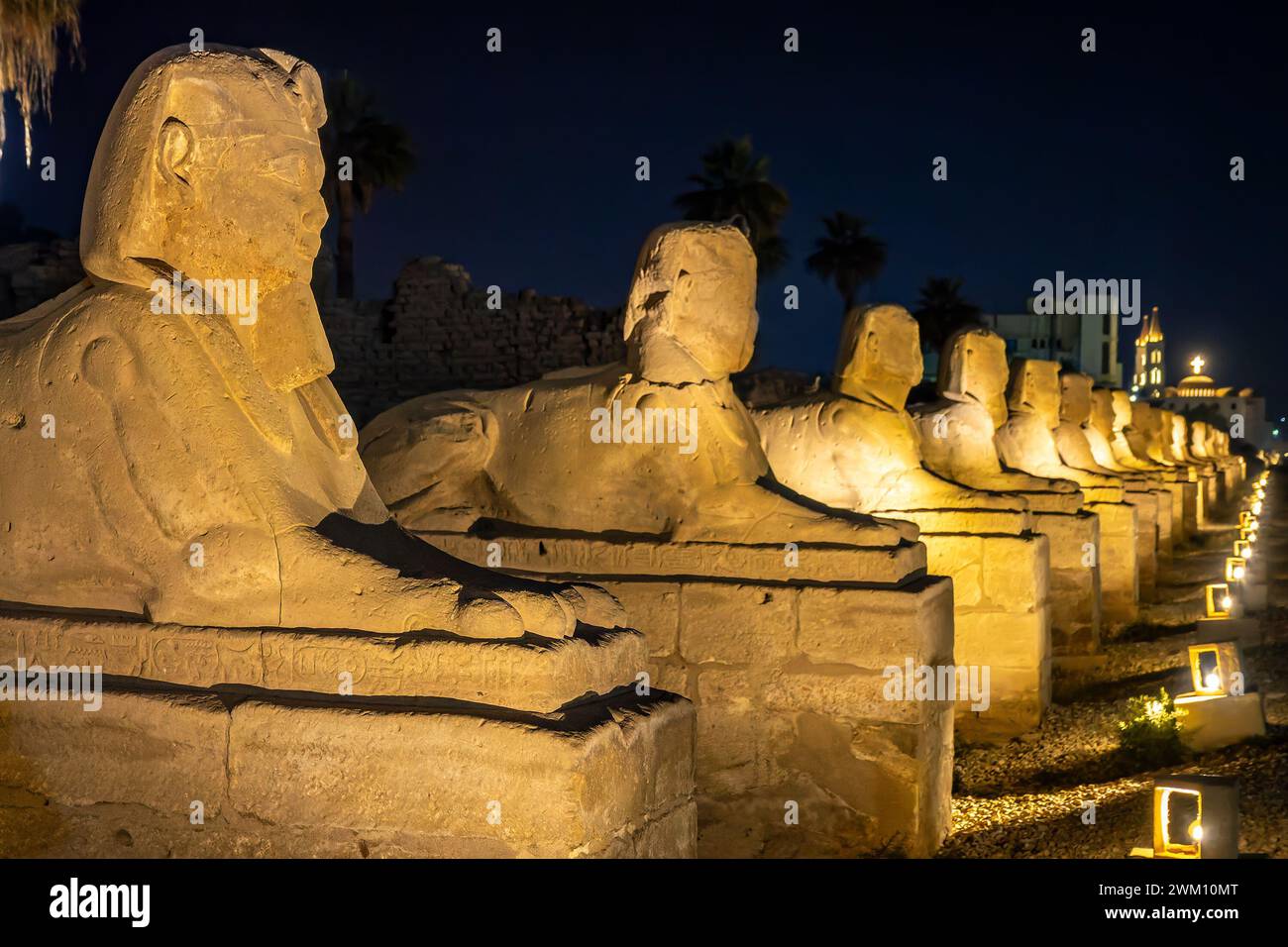 Sfinge avenue illuminata di notte a Luxor, Egitto Foto Stock