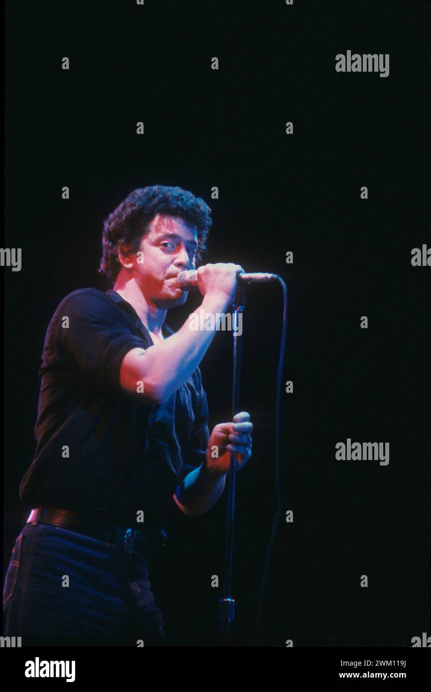 3824845 Lou Reed; (add.info.: Milano, Arena Civica, 1980. Chitarrista rock, cantante e cantautore Lou Reed in concerto / Milano, Arena Civica, 1980. Il chitarrista e cantautore Lou Reed in concerto); © Marcello Mencarini. Tutti i diritti riservati 2024. Foto Stock