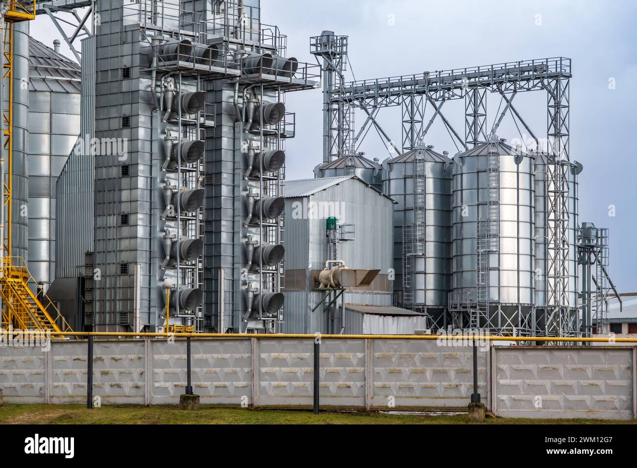 silos su complesso agro-industriale con linea di pulizia e asciugatura dei semi per lo stoccaggio dei cereali Foto Stock