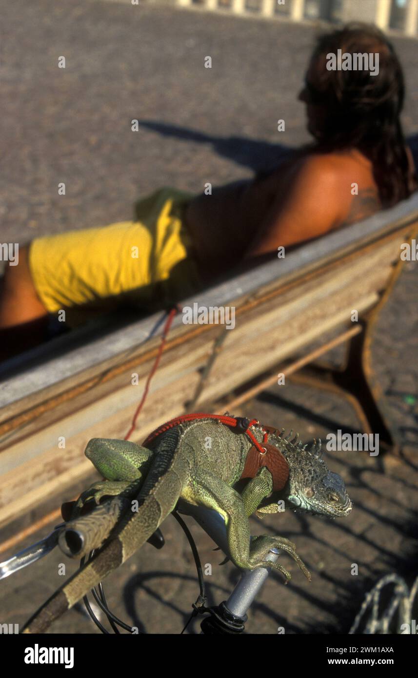 4066281 Lido di Ostia, Italia; (add.info.: Ostia Lido, 1999. Uomo con iguana. Ostia è una città balneare vicino a Roma. Nel periodo estivo molti abitanti di Roma si recano al mare, in particolare i giovani della periferia, hanno detto nello slang 'coatti' / Lido di Ostia, 1999. Uomo con iguana. Ostia è la spiaggia dei romani. D'estate è frequentata in particolare dai giovani che abitano le borgate della periferia, i cosiddetti "coatti"-); © Marcello Mencarini. Tutti i diritti riservati 2024. Foto Stock