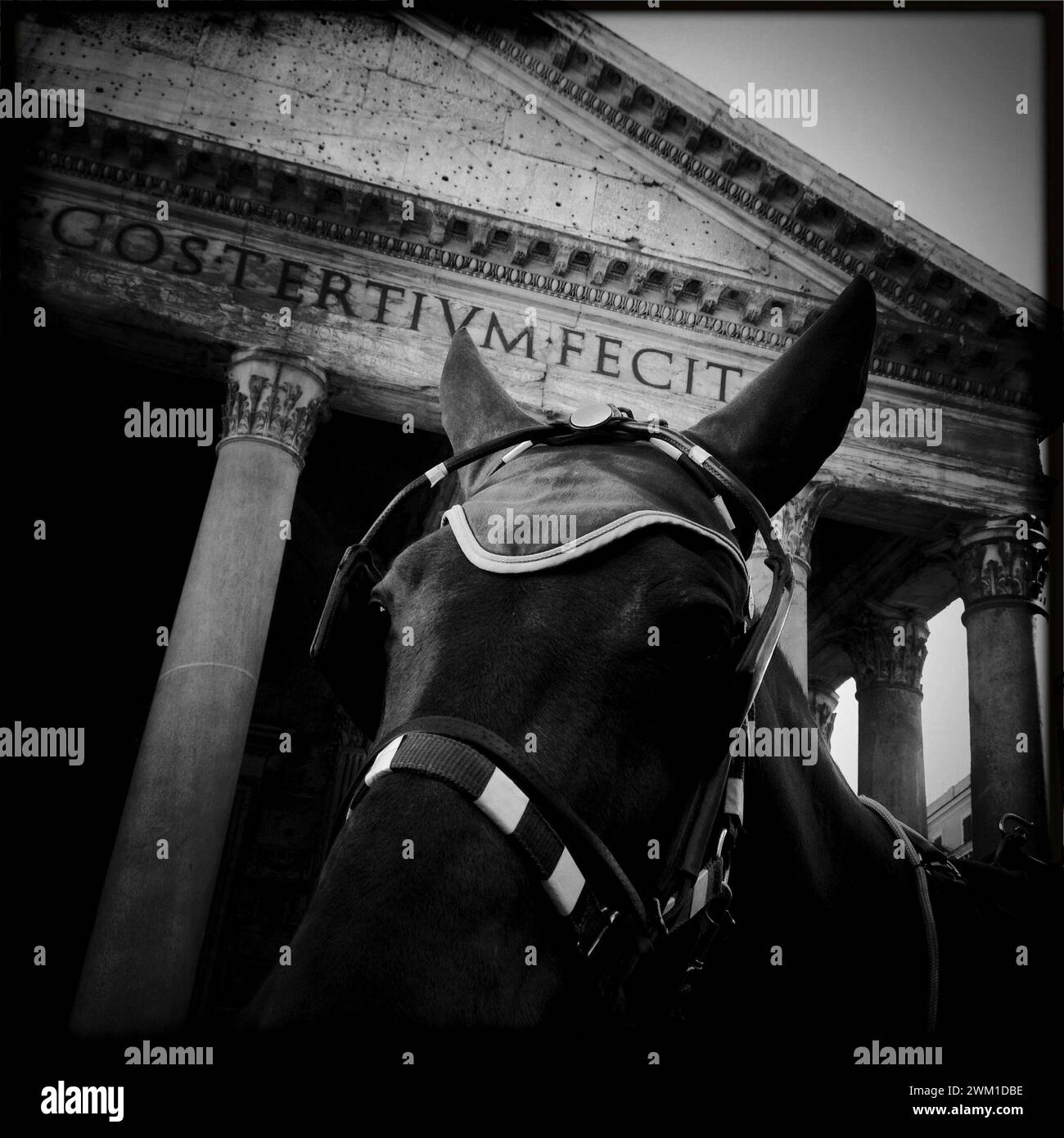 4067487 Roma, Piazza del Pantheon - 2012; (add.info.: Roma, Piazza del Pantheon - 2012); © Marcello Mencarini. Tutti i diritti riservati 2024. Foto Stock