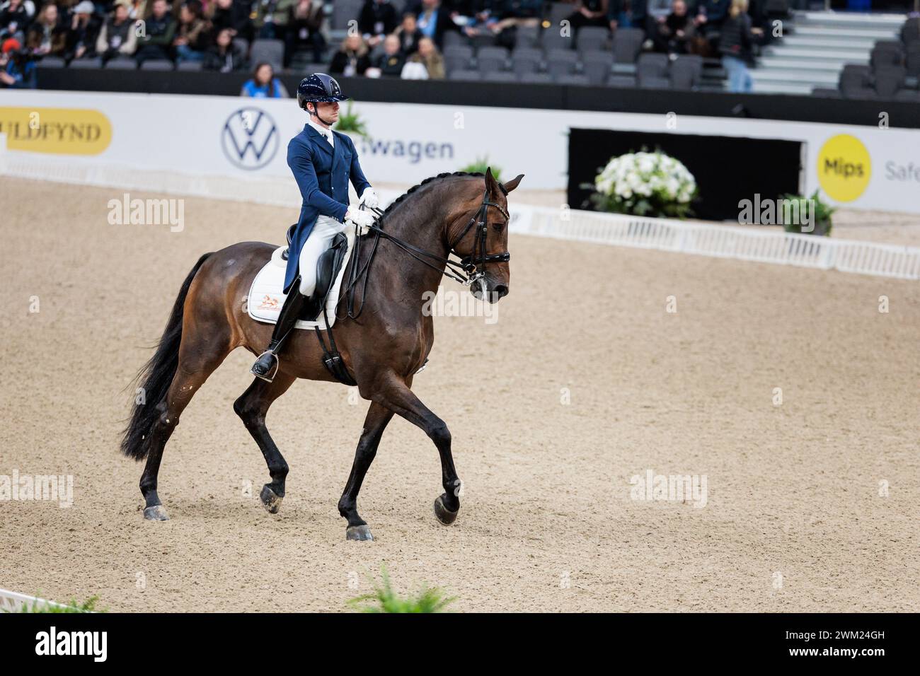 Dirk-Jan van de Water of Netherland con Grandville di Hexagon durante il FEI Dressage World Cup™ Grand Prix presentato da Agria al Gothenburg Horse Show il 23 febbraio 2024, Scandinavium, Svezia (foto di Maxime David - MXIMD Pictures) Foto Stock