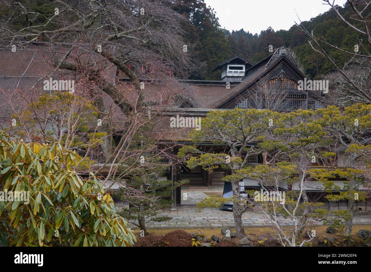 Alloggi dei templi a Koyasan sulla via di pellegrinaggio Kumano Kodo, Monte Koya, Wakayama, Giappone Foto Stock