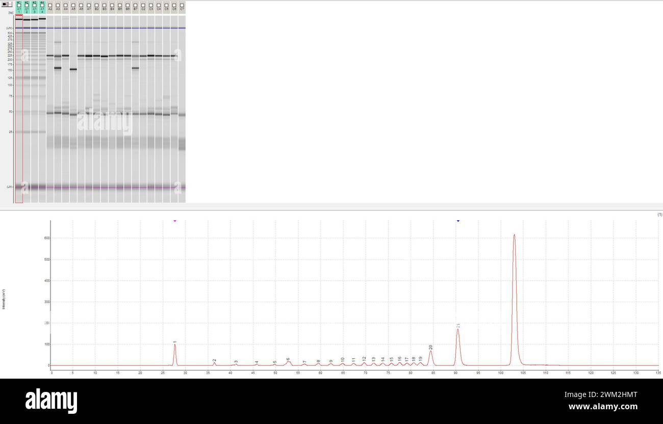 un grafico del dna e del segnale della scala Foto Stock
