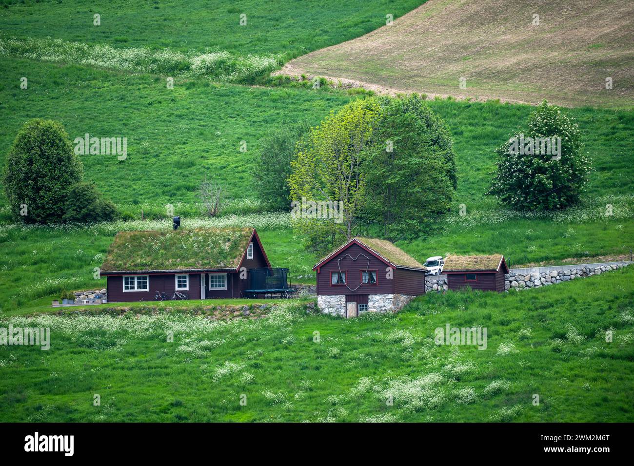 Il tetto in erba è un tradizionale tipo scandinavo, che aiuta a isolare casa in Norvegia Foto Stock