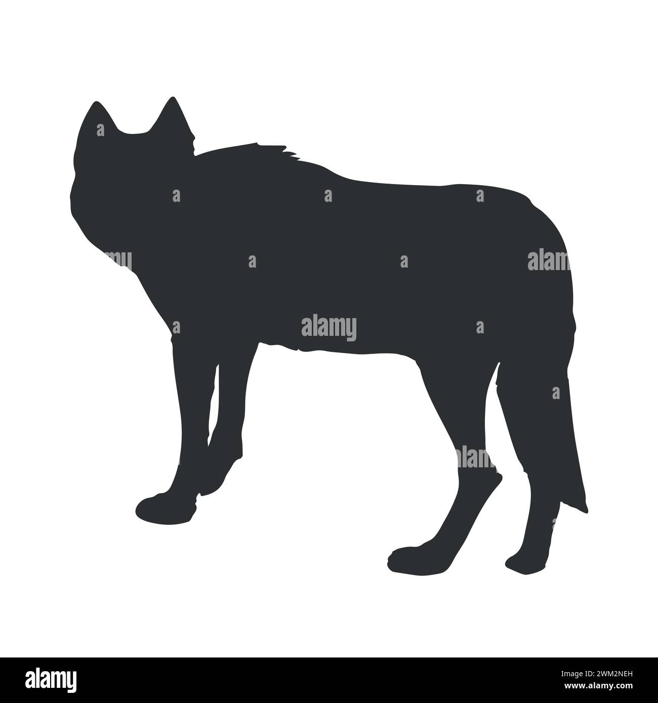 Silhouette di lupo disegnata a mano. Vista posteriore. Illustrazione vettoriale Illustrazione Vettoriale