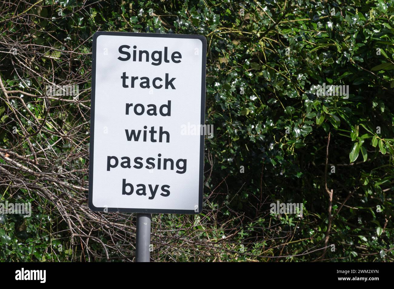 Cartello stradale sulla strada di campagna stretta Reading Single Track Road con Bays, Inghilterra, Regno Unito Foto Stock