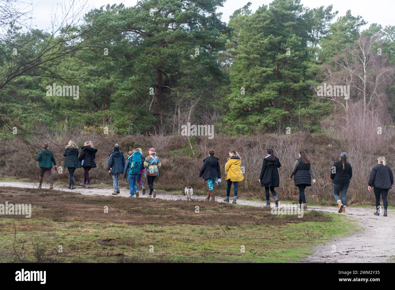 Giovani donne, tra cui madri che trasportano i loro figli, che vanno a fare una passeggiata di gruppo nella campagna del Surrey, Inghilterra, Regno Unito. Concetto di benessere Foto Stock