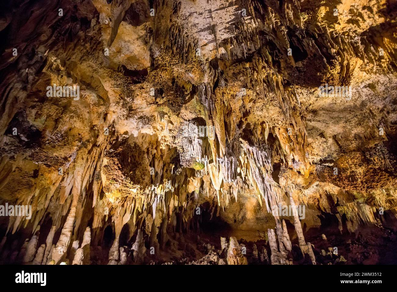 Formazioni Speleothem come stalattiti e stalagmiti nelle grotte di Luray, Virginia Foto Stock