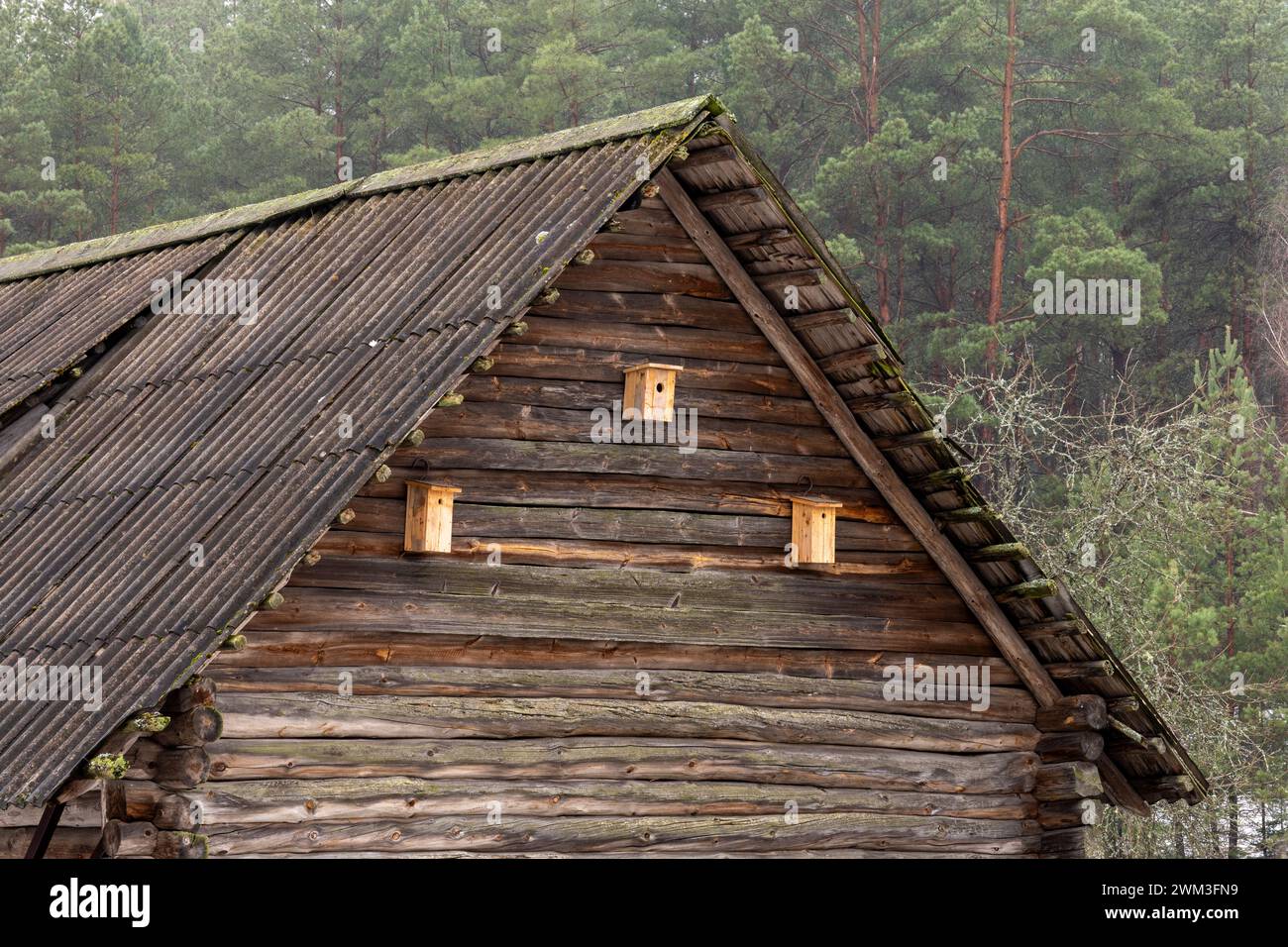 Un vecchio edificio del villaggio in Lituania con cassette per nidificazione per uccelli appesi al muro Foto Stock
