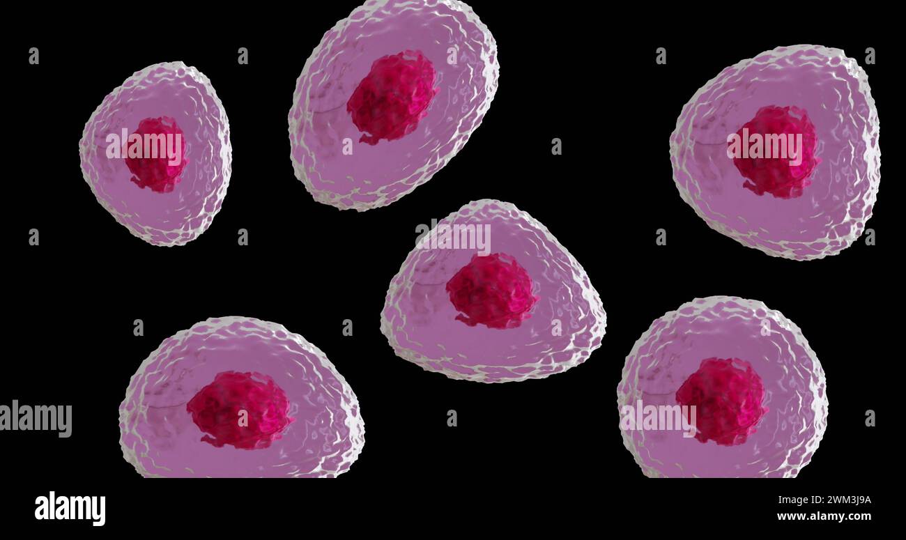 Immagine di microcellule rosse e rosa su sfondo nero Foto Stock