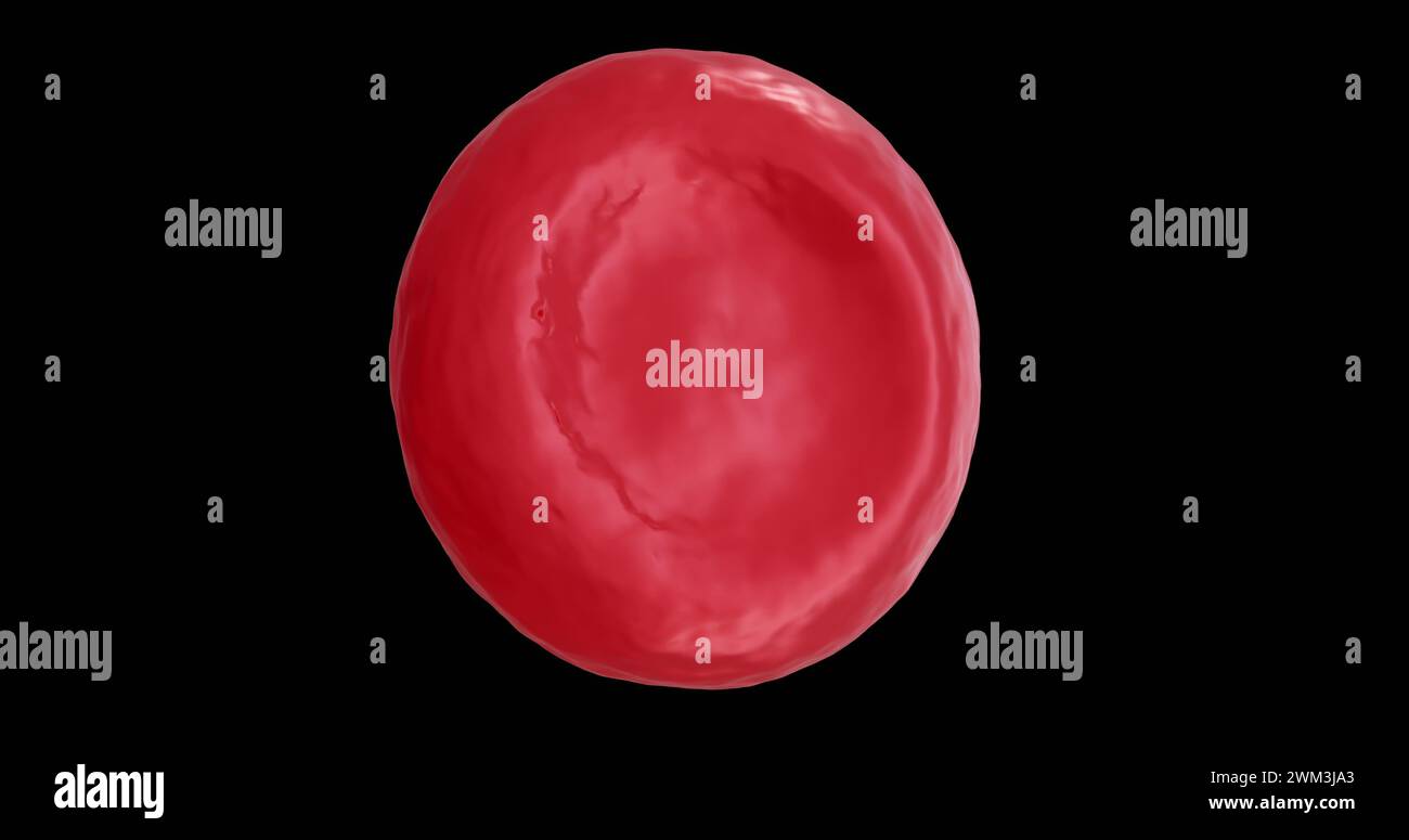 Immagine di microglobuli rossi su sfondo nero Foto Stock