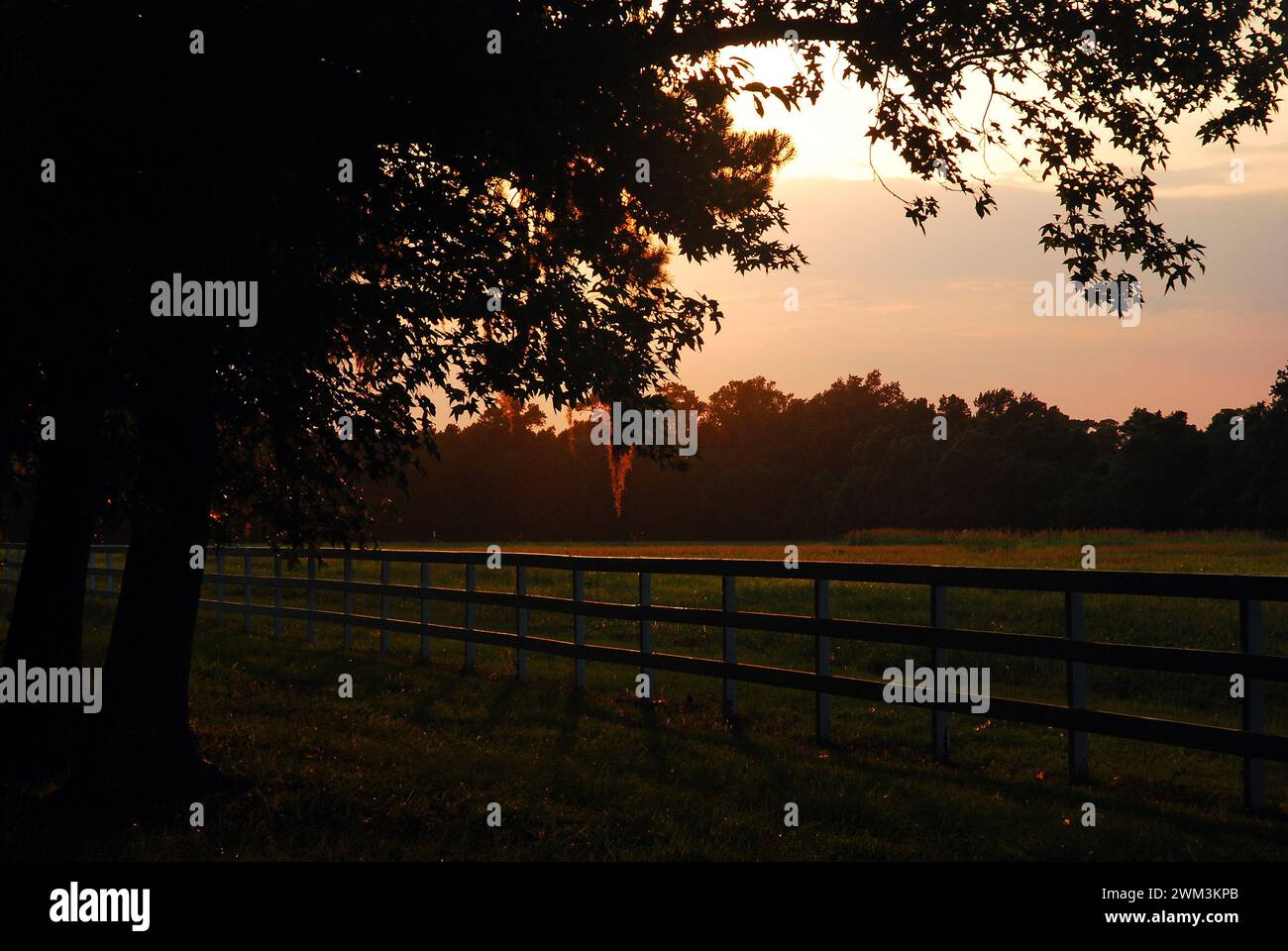 Il sole tramonta su una storica piantagione di Charleston, South Carolina Foto Stock