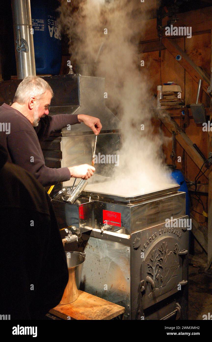 Un uomo adulto preleva un campione mentre esegue il processo di evaporazione per preparare puro sciroppo d'acero Foto Stock