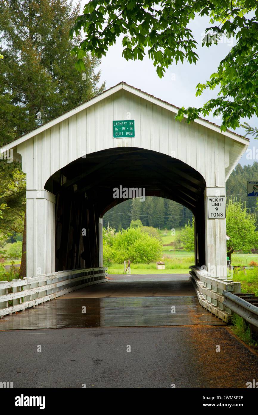 Caparra ponte coperto, Lane County, Oregon Foto Stock