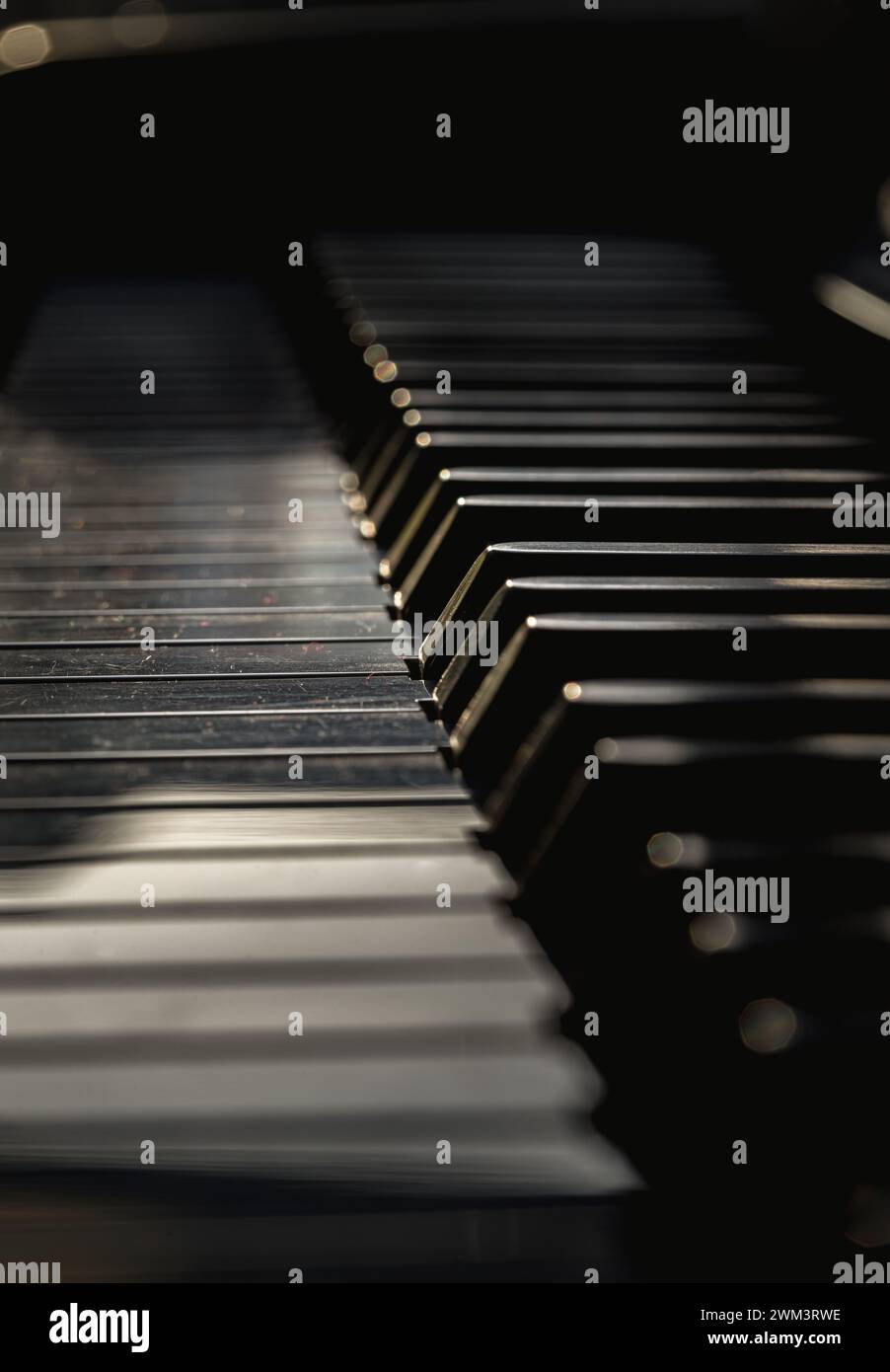 Vista laterale dei tasti piano con profondità di campo ridotta. Sfondo classico per pianoforte a coda, spazio per testo, messa a fuoco selettiva. Foto Stock