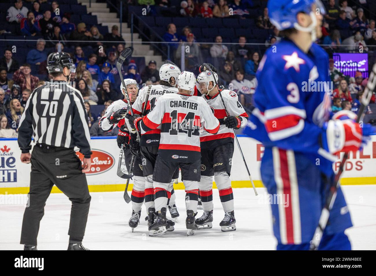 23 febbraio 2024: I giocatori dei Belleville Senators festeggiano un gol nel terzo periodo contro i Rochester Americans. I Rochester Americans ospitarono i Belleville Senators in una partita della American Hockey League alla Blue Cross Arena di Rochester, New York. (Jonathan tenca/CSM) Foto Stock