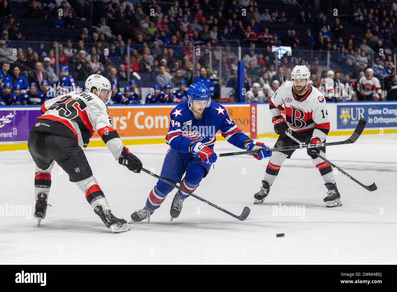 23 febbraio 2024: I Rochester Americans Tyson Kozak (44) pattinano ai supplementari contro i Belleville Senators. I Rochester Americans ospitarono i Belleville Senators in una partita della American Hockey League alla Blue Cross Arena di Rochester, New York. (Jonathan tenca/CSM) Foto Stock