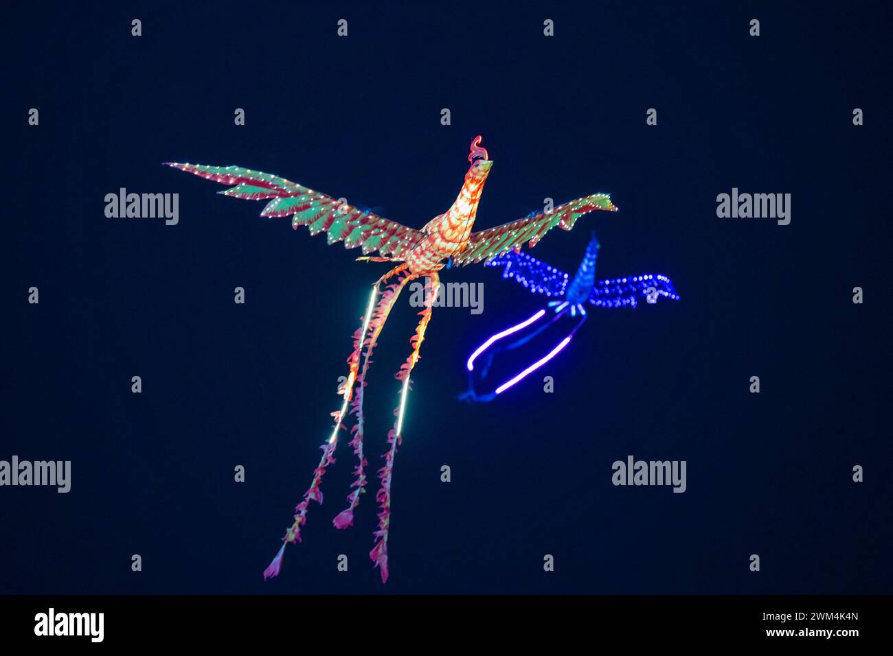 Chongqing, Cina. 23 febbraio 2024. I turisti stanno guardando uno spettacolo telecomandato del Double Phoenix Flying Performance, che è dotato di un gruppo di potenza, rilasciato da un artista in una piazza a Chongqing, in Cina, il 23 febbraio 2024. (Foto di Costfoto/NurPhoto) credito: NurPhoto SRL/Alamy Live News Foto Stock