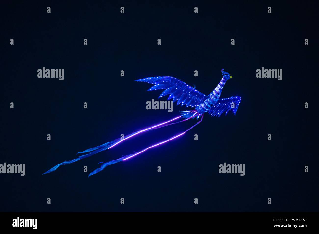 Chongqing, Cina. 23 febbraio 2024. I turisti stanno guardando uno spettacolo telecomandato del Double Phoenix Flying Performance, che è dotato di un gruppo di potenza, rilasciato da un artista in una piazza a Chongqing, in Cina, il 23 febbraio 2024. (Foto di Costfoto/NurPhoto) credito: NurPhoto SRL/Alamy Live News Foto Stock