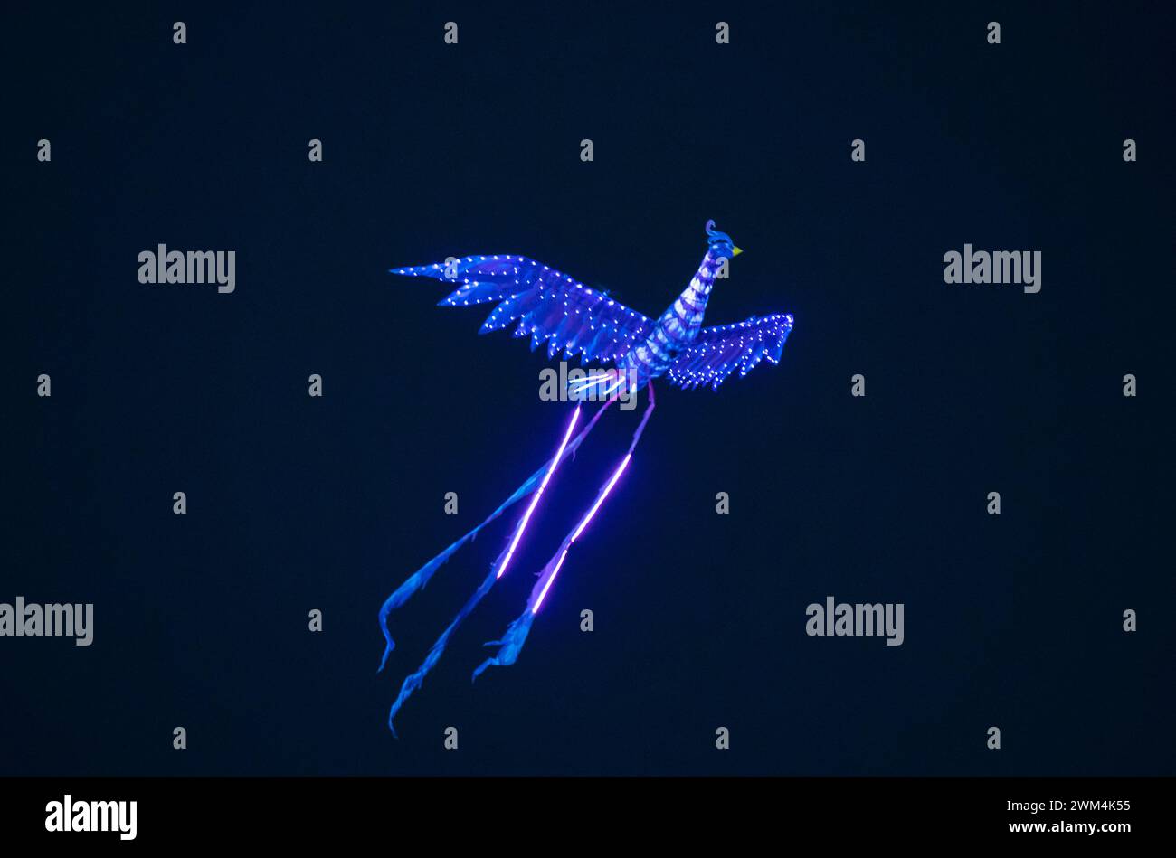 Chongqing, Cina. 23 febbraio 2024. I turisti stanno guardando uno spettacolo telecomandato del Double Phoenix Flying Performance, che è dotato di un gruppo di potenza, rilasciato da un artista in una piazza a Chongqing, in Cina, il 23 febbraio 2024. (Foto di Costfoto/NurPhoto) credito: NurPhoto SRL/Alamy Live News Foto Stock