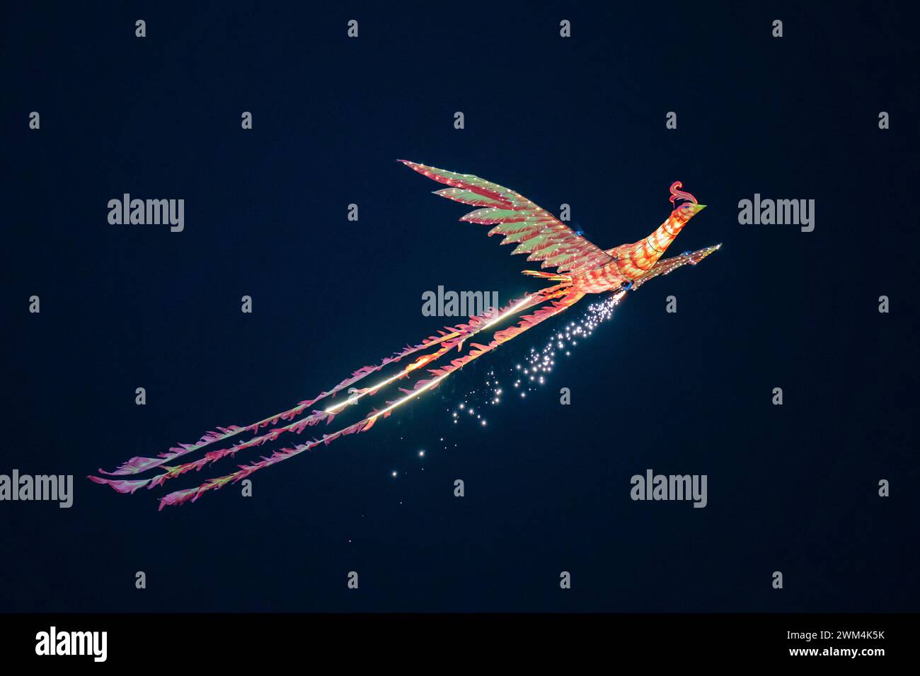 Chongqing, Cina. 23 febbraio 2024. I turisti stanno guardando uno spettacolo telecomandato del Double Phoenix Flying Performance, che è dotato di un gruppo di potenza, rilasciato da un artista in una piazza a Chongqing, in Cina, il 23 febbraio 2024. (Foto di Costfoto/NurPhoto) credito: NurPhoto SRL/Alamy Live News Foto Stock