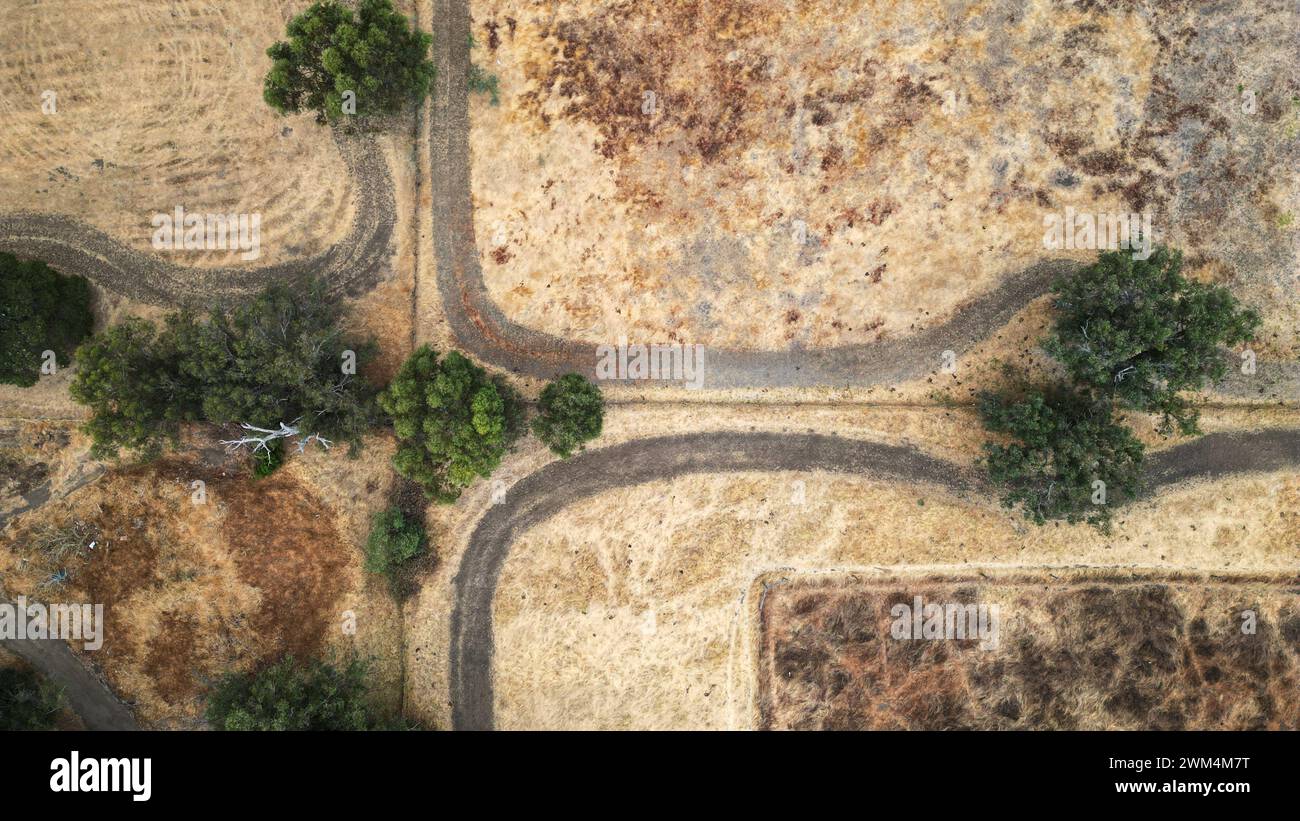 Vista aerea dei binari in un campo che si snoda intorno agli alberi Foto Stock
