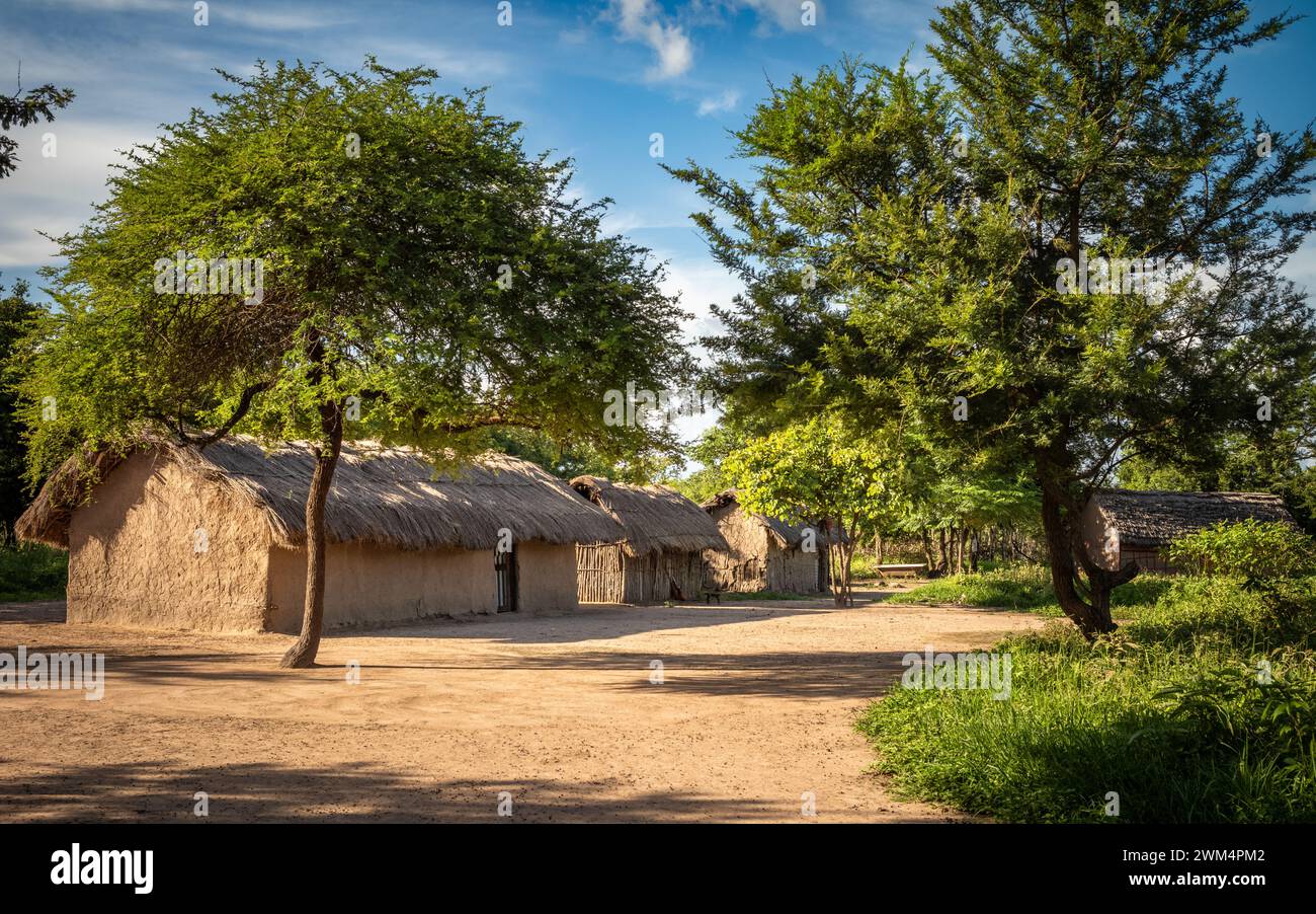 Tradizionali capanne di paglia di fango e legno, o enkangs, in un villaggio Maasai a Mikumi, Tanzania Foto Stock