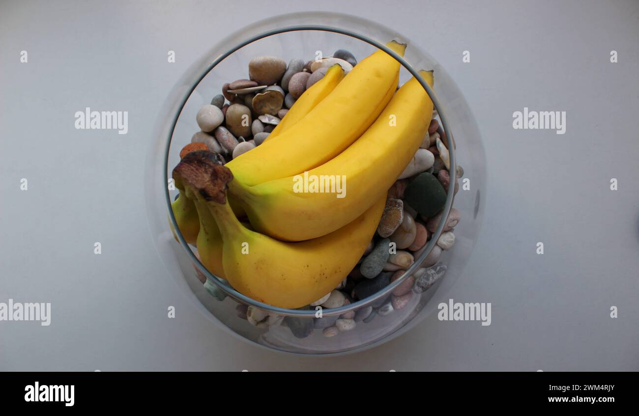 Banane intere in mazzo all'interno della cucina vaso di frutta pieno di ciottoli di mare vista dall'alto Foto Stock
