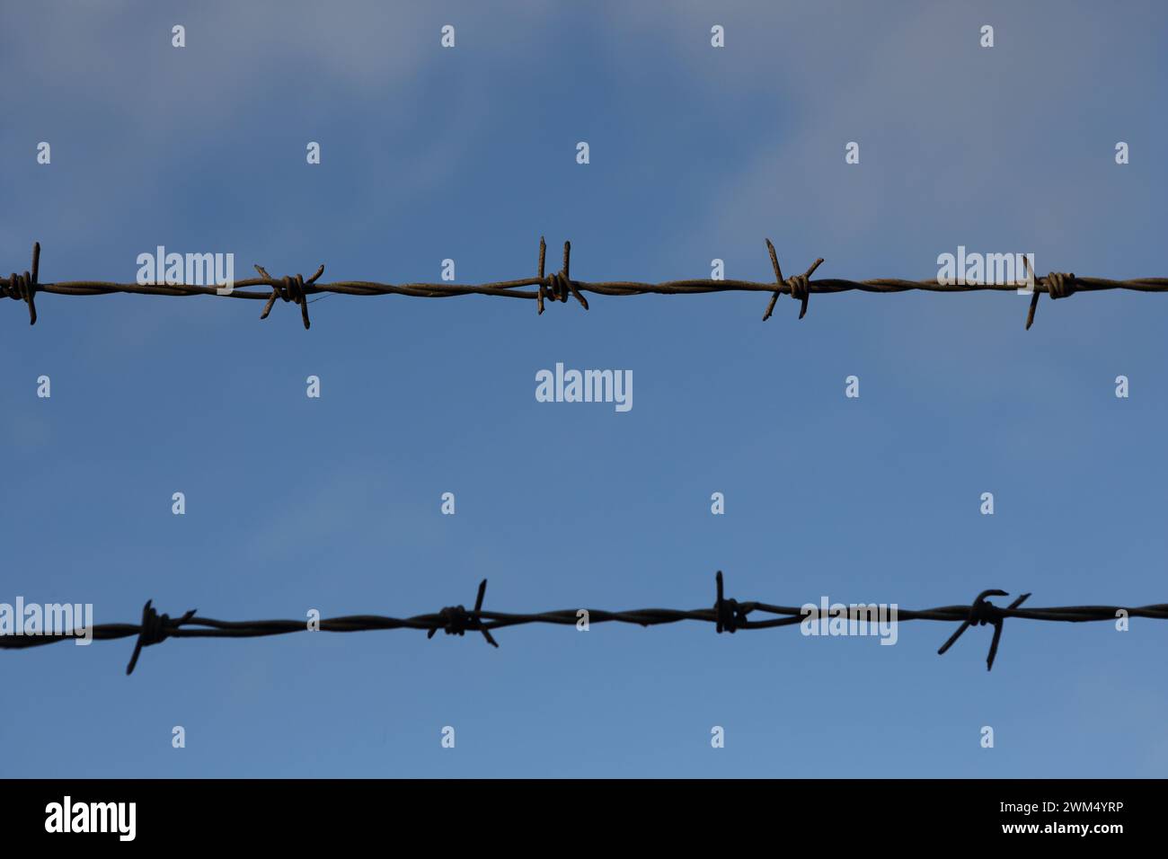 Recinzione in filo spinato con cielo blu e nuvole bianche sullo sfondo, concetto di limiti di libertà di detenzione Foto Stock