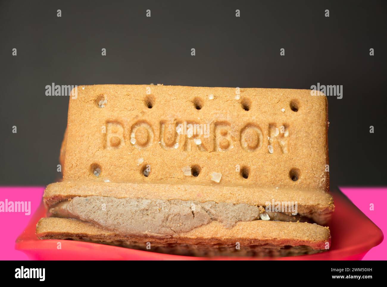Sweet Indulgence: Un primo piano di un classico biscotto borbonico, questa immagine presenta una vista ravvicinata di un classico biscotto borbonico. Il biscotto dorato, Foto Stock