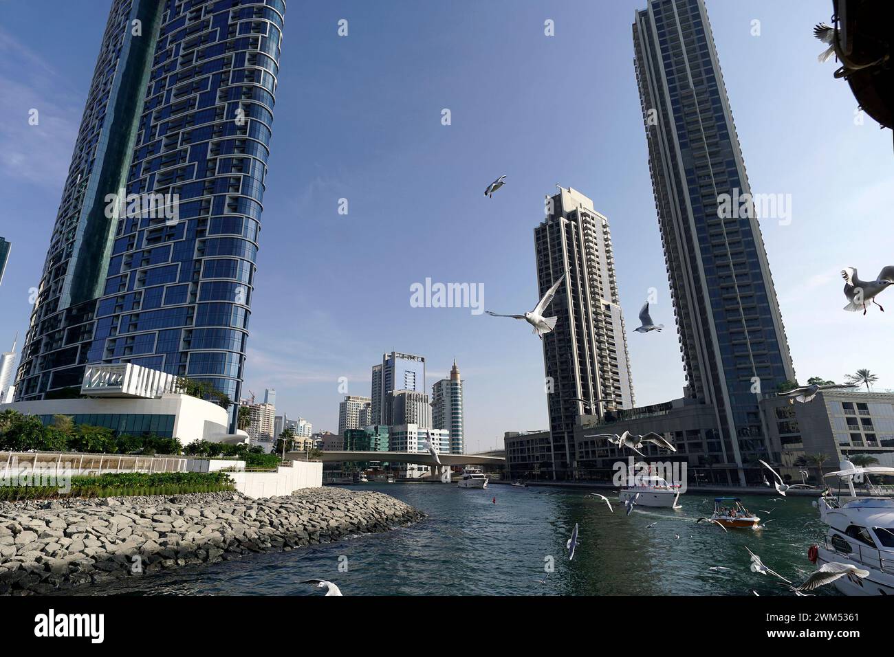 Vista sulla Marina di Dubai verso la costruzione di edifici e le barche durante una giornata di sole. molti gabbiani volano dietro lo yacht contro la schiena Foto Stock