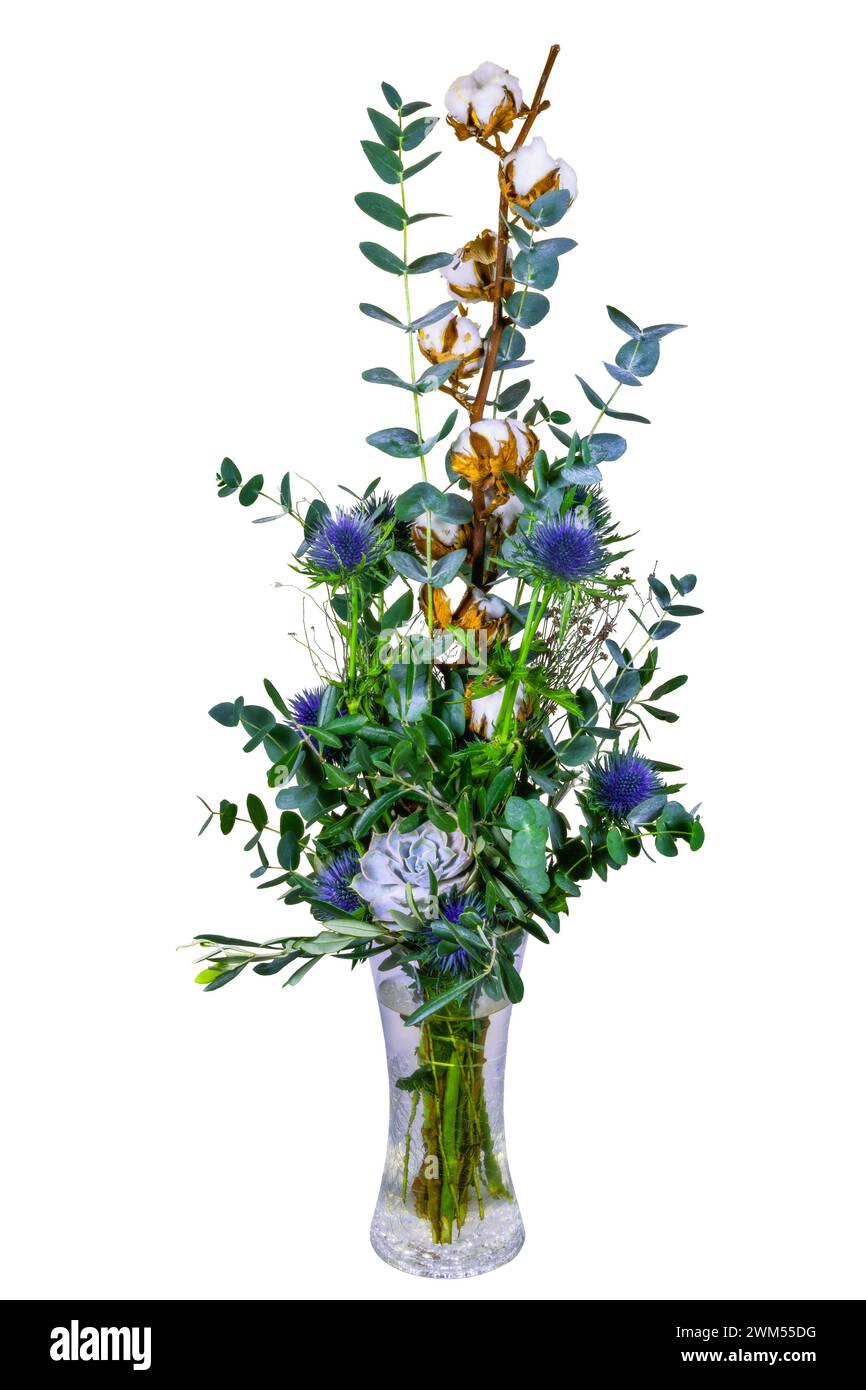 Bouquet con fiori di cardo e cotone in un vaso di vetro Foto Stock