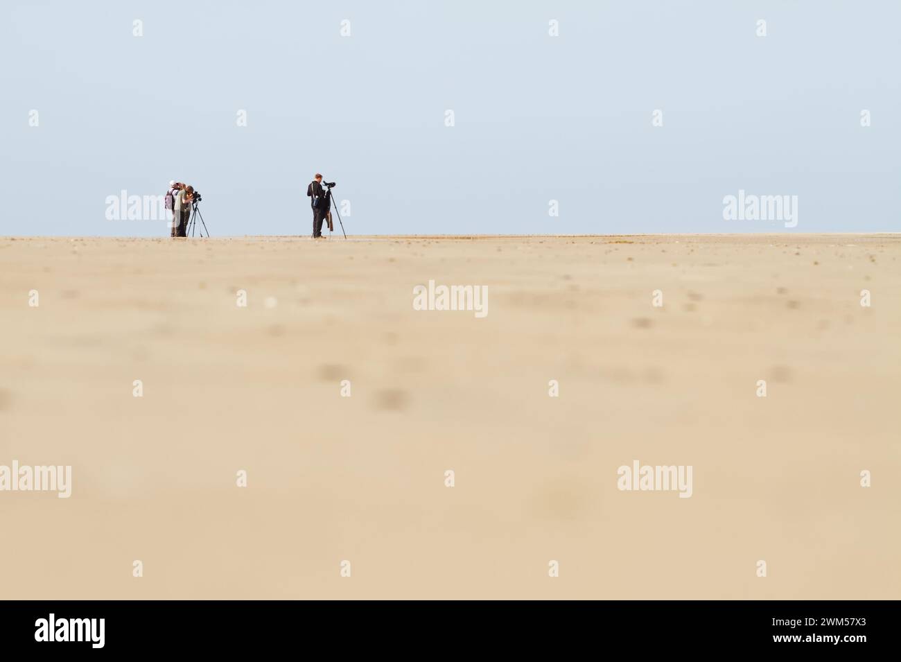Birdwatcher, Twitcher, osservando uccelli con telescopi e binocoli su Una spiaggia deserta di Sandy Beach, Snettisham, Regno Unito Foto Stock