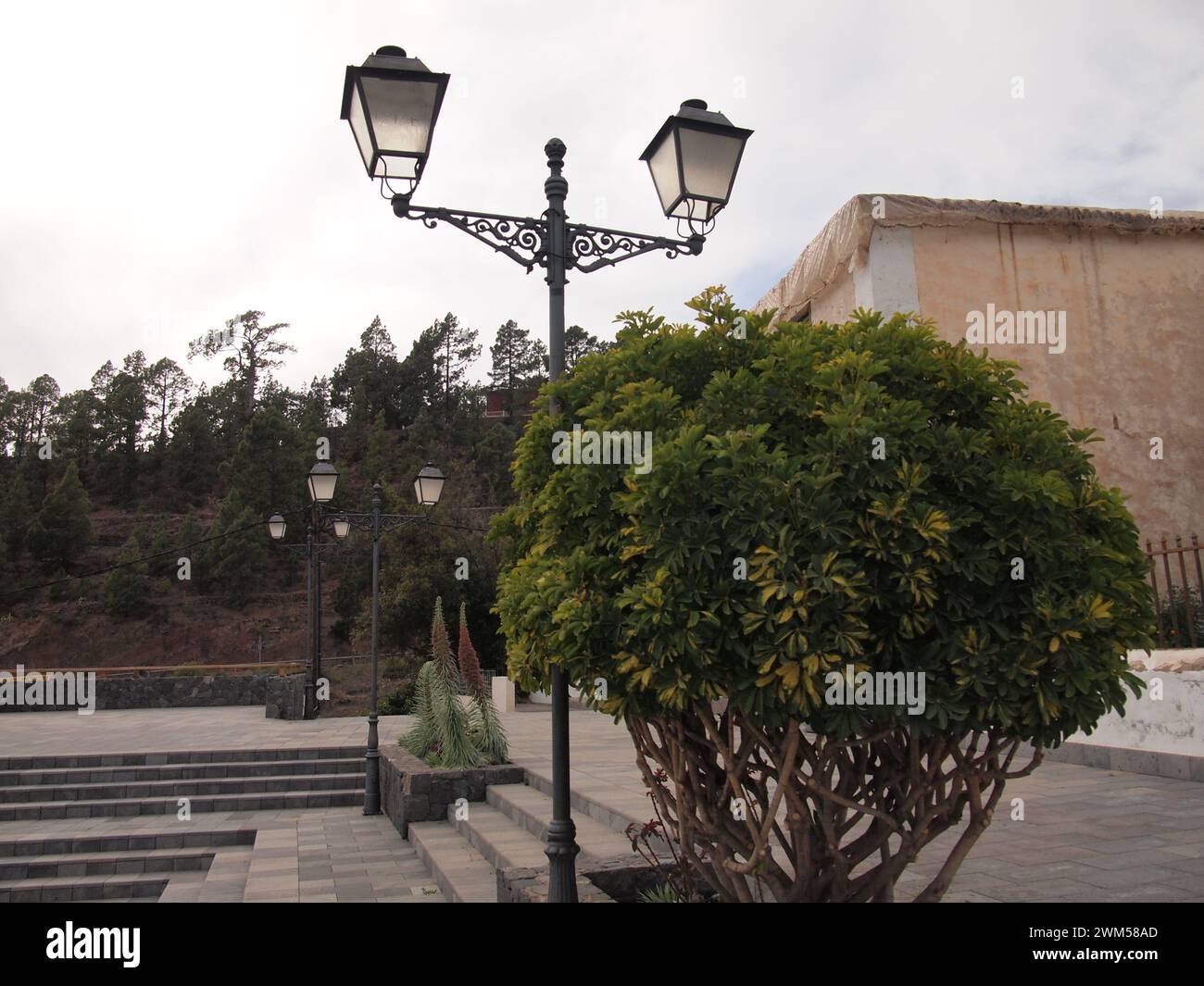 Vilaflor de Chasna (Tenerife, Isole Canarie, Spagna) Foto Stock