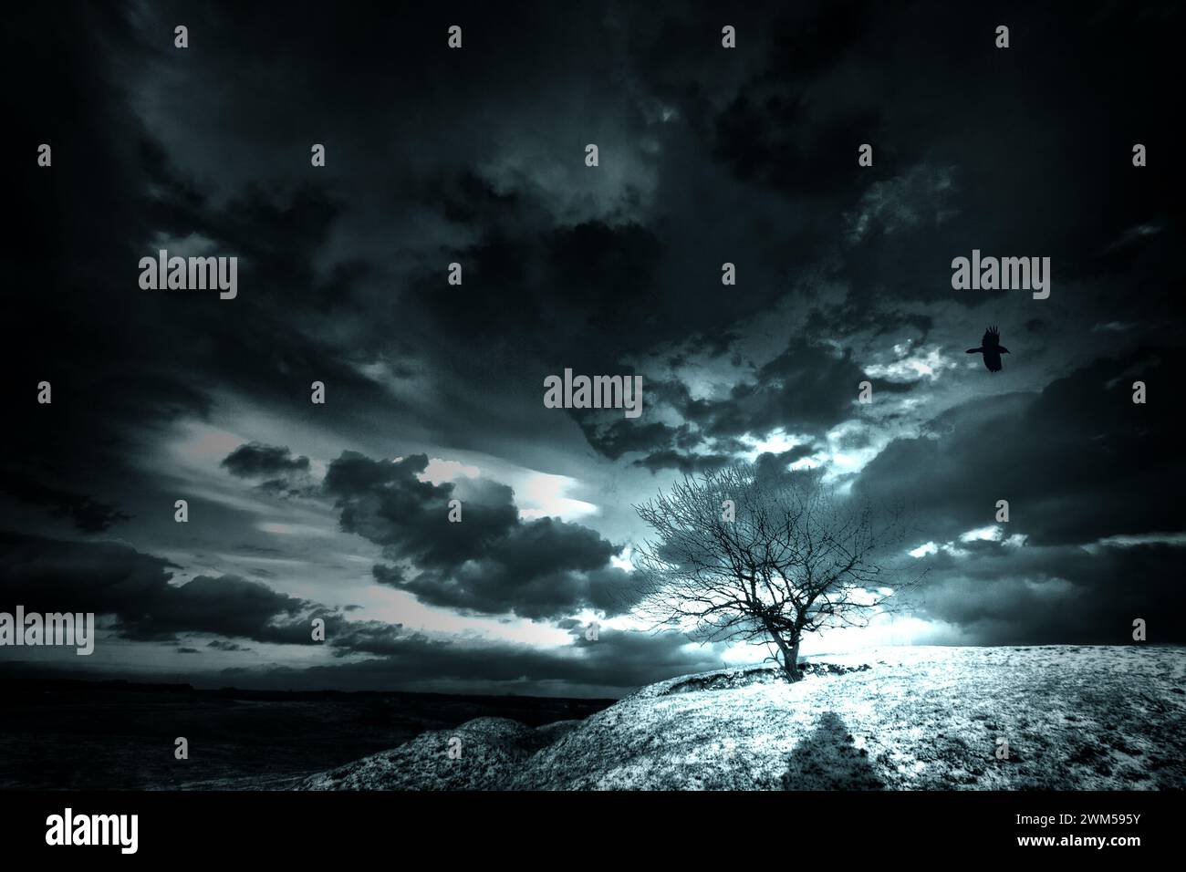 Silhouette paesaggistica di un albero solitario su una collina, spettacolari nuvole di tempesta scure sullo sfondo, atmosfera horror Foto Stock