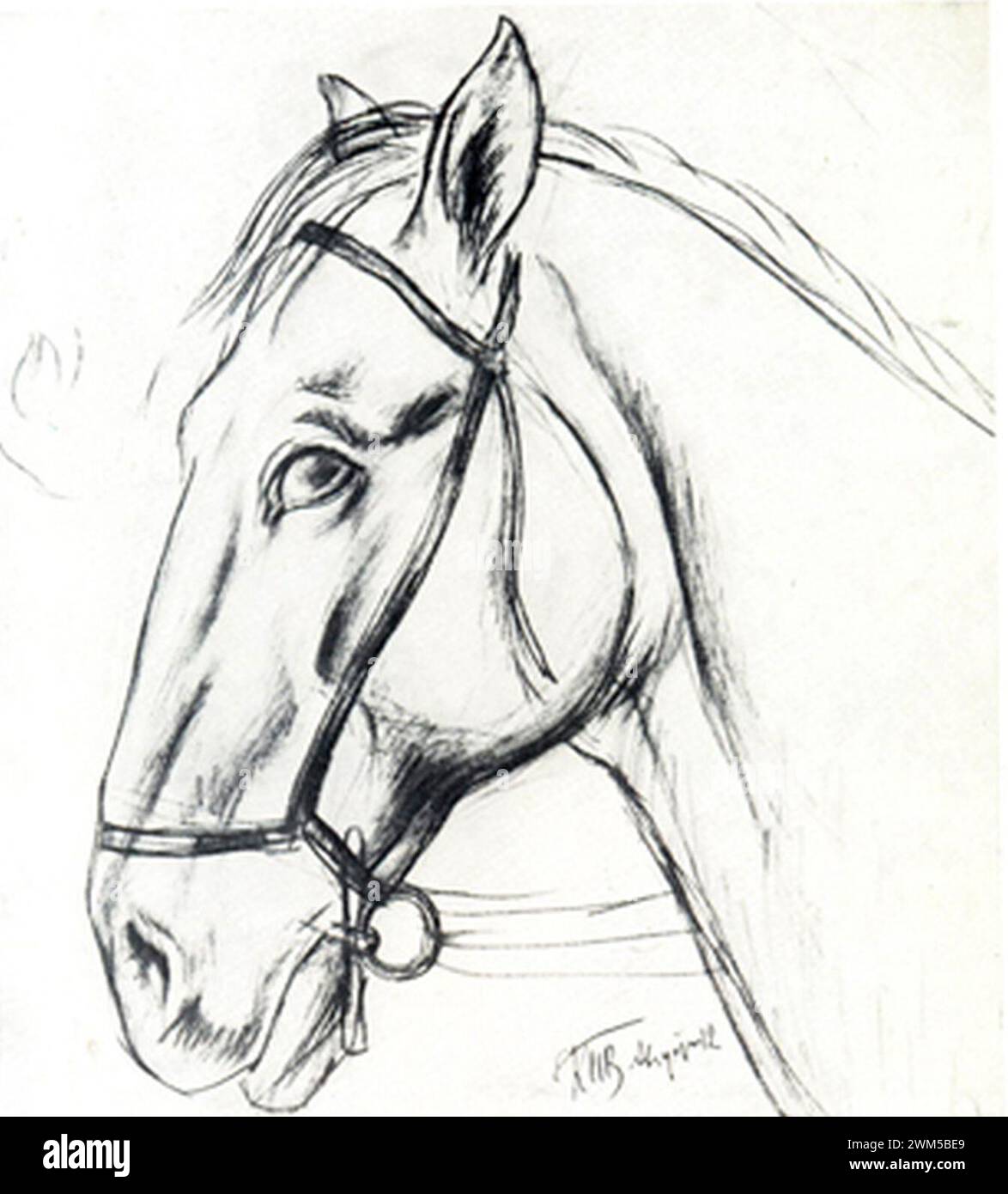 Bagno di un cavallo rosso (Petrov-Vodkin) studio 05. Foto Stock