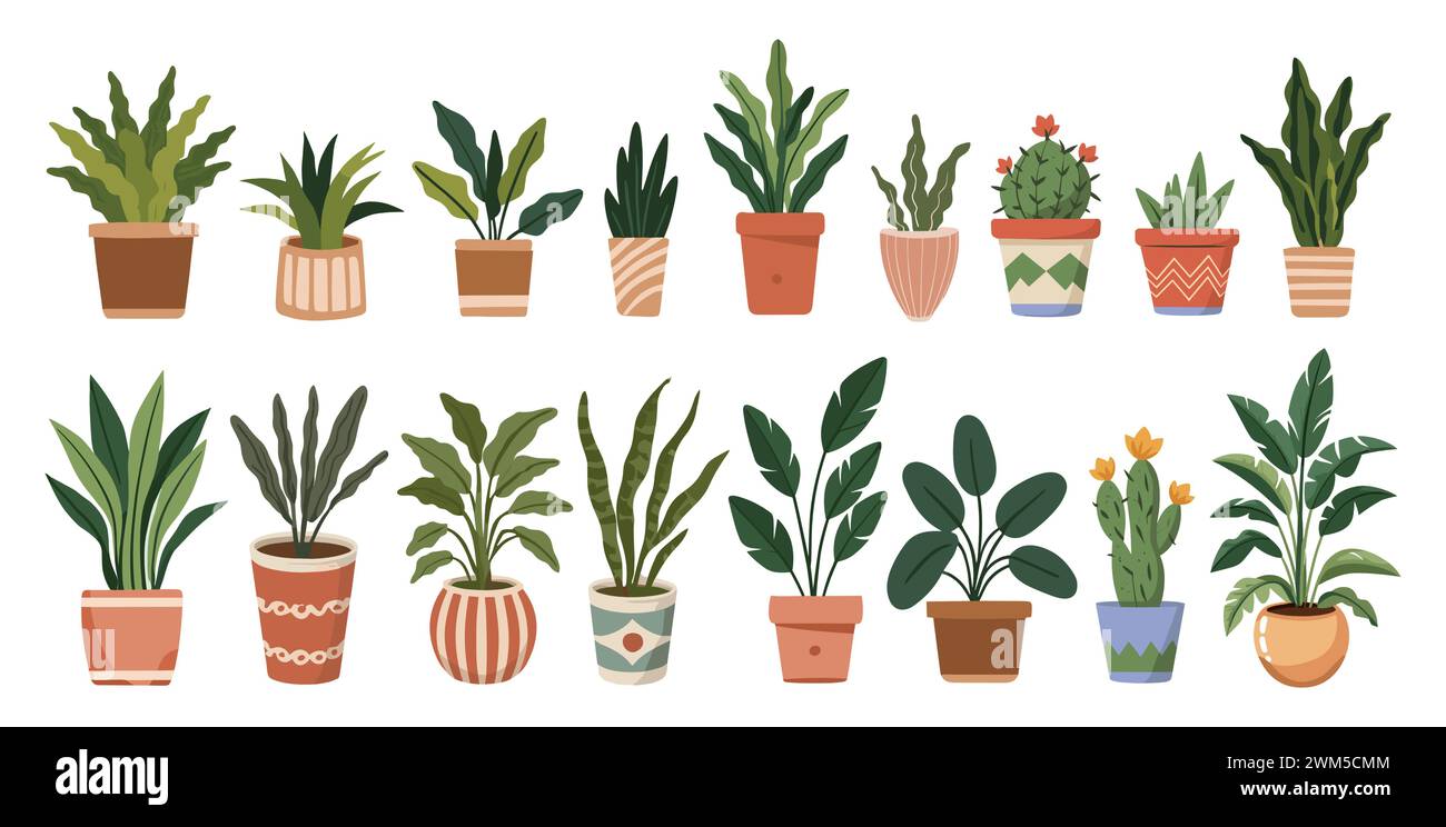 Set di diverse piante per la casa in pentole di ceramica. Illustrazione Vettoriale