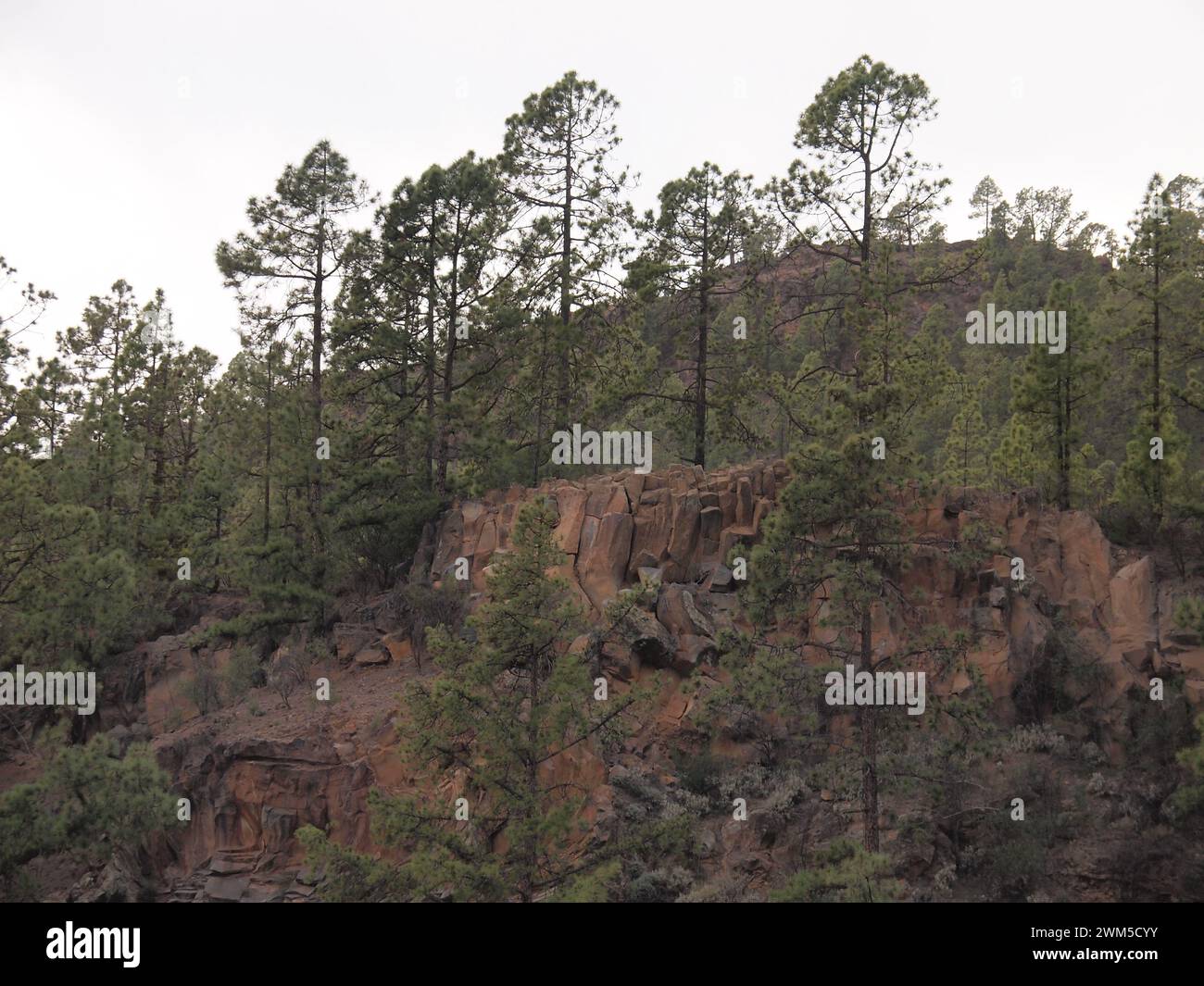 Vilaflor de Chasna (Tenerife, Isole Canarie, Spagna) Foto Stock