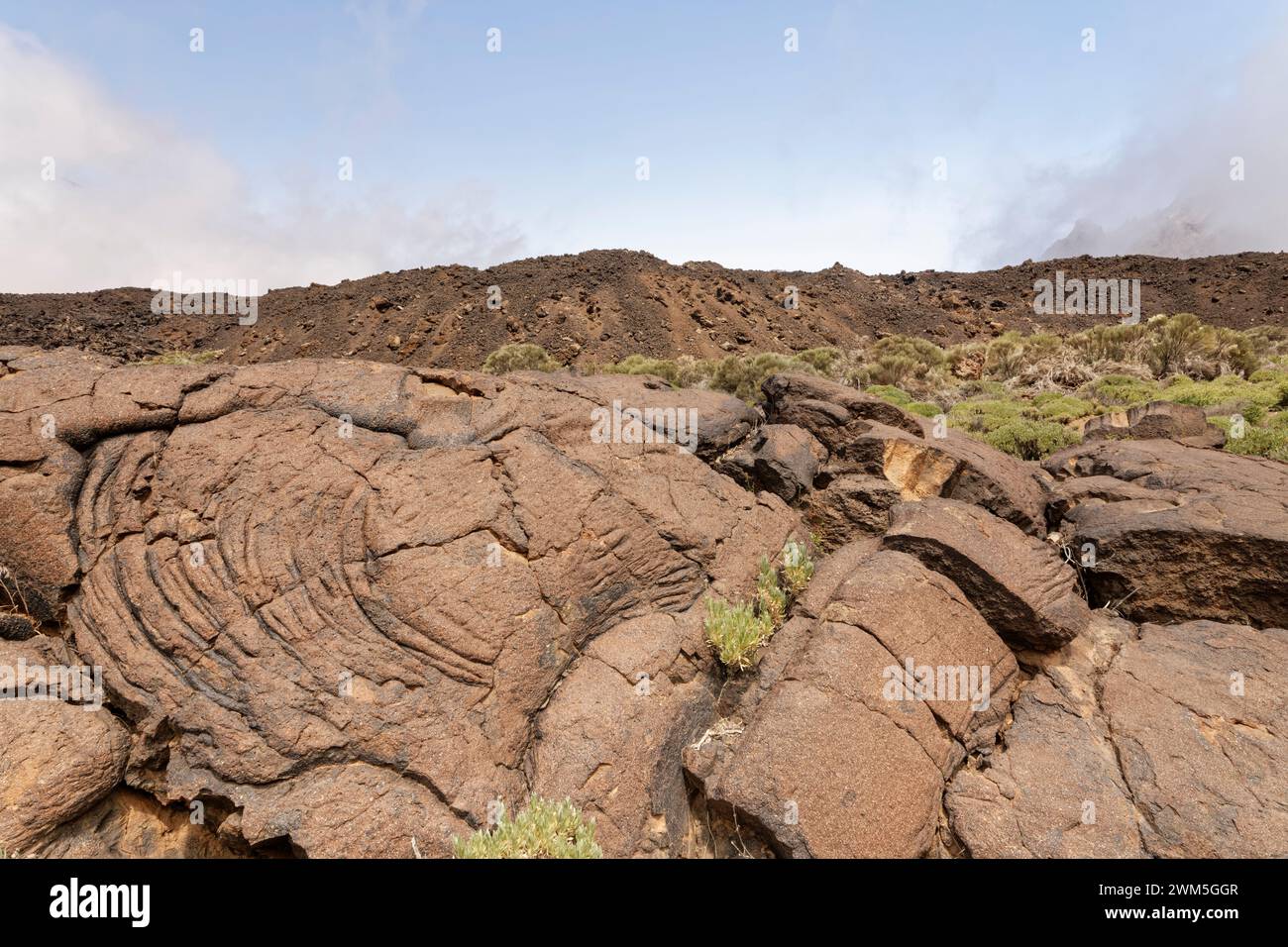 Lava pahoehoe vecchia e raffreddata con consistenza ropy, Parco Nazionale del Teide, Tenerife, Isole Canarie, Spagna, maggio. Foto Stock
