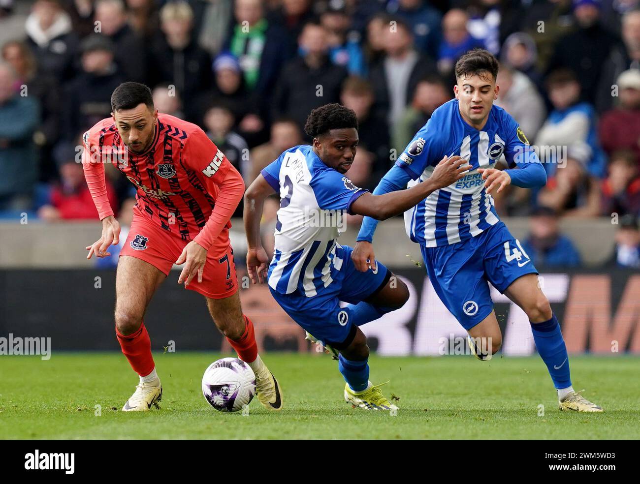 Dwight McNeil di Everton (a sinistra) e Tariq Lamptey di Brighton e Hove Albion (centro) combattono per il pallone mentre Facundo Buonanotte di Brighton e Hove Albion (a destra) guarda durante la partita di Premier League all'American Express Stadium di Brighton. Data foto: Sabato 24 febbraio 2024. Foto Stock