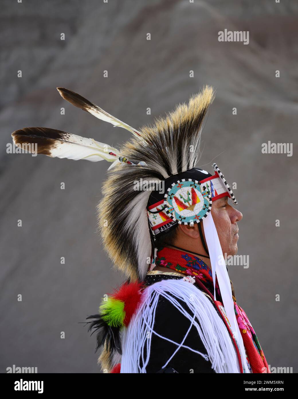 Buck Spotted Tail (Sicangu Lakota Oyate) nelle sue insegne di Grass Dance; Badlands National Park, South Dakota. Foto Stock